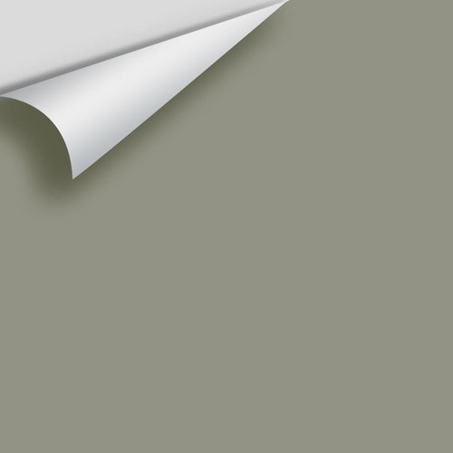Benjamin Moore - Storm Cloud Gray 2140-40 Peel & Stick Color Sample