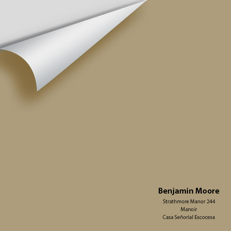 Benjamin Moore - Strathmore Manor 244 Peel & Stick Color Sample