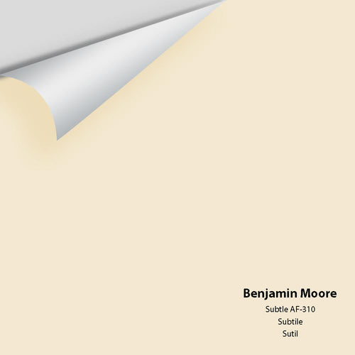 Benjamin Moore - Subtle AF-310 Peel & Stick Color Sample