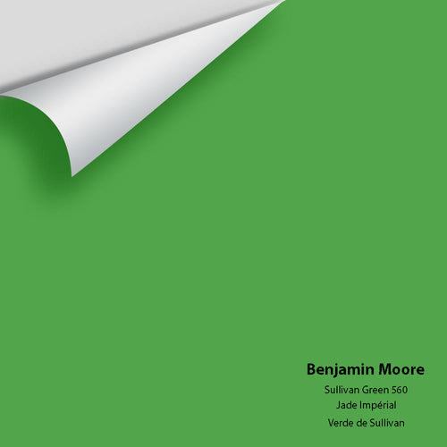 Benjamin Moore - Sullivan Green 560 Peel & Stick Color Sample