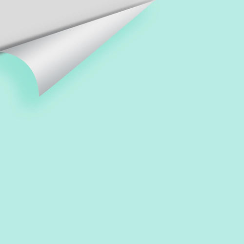 Benjamin Moore - Summer Green 2043-60 Peel & Stick Color Sample