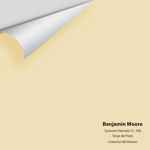 Benjamin Moore - Summer Harvest 206/CC-190 Peel & Stick Color Sample