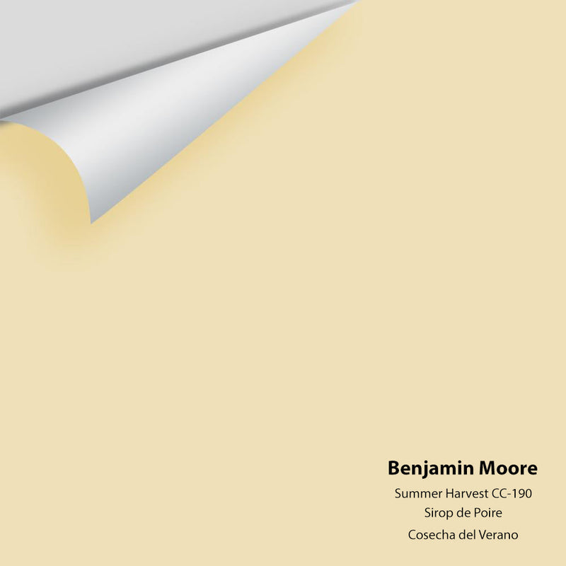 Benjamin Moore - Summer Harvest 206/CC-190 Peel & Stick Color Sample