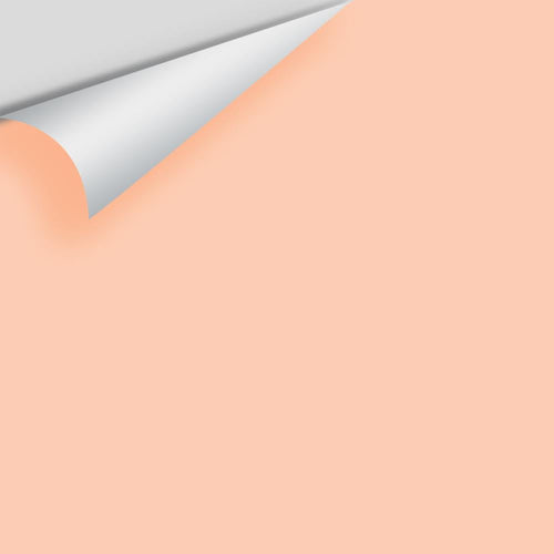 Benjamin Moore - Summer Melon 2168-50 Peel & Stick Color Sample