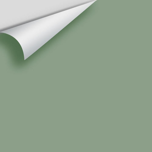 Benjamin Moore - Summer's Day CSP-780 Peel & Stick Color Sample