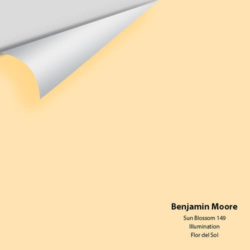 Benjamin Moore - Sun Blossom 149 Peel & Stick Color Sample