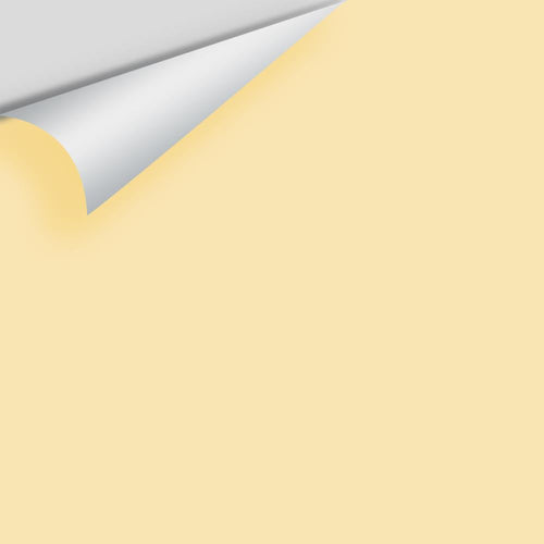 Benjamin Moore - Sundress CSP-940 Peel & Stick Color Sample