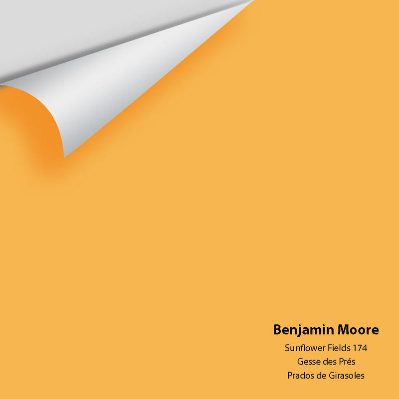 Benjamin Moore - Sunflower Fields 174 Peel & Stick Color Sample