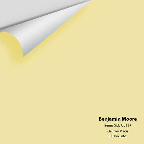 Benjamin Moore - Sunny Side Up 367 Peel & Stick Color Sample