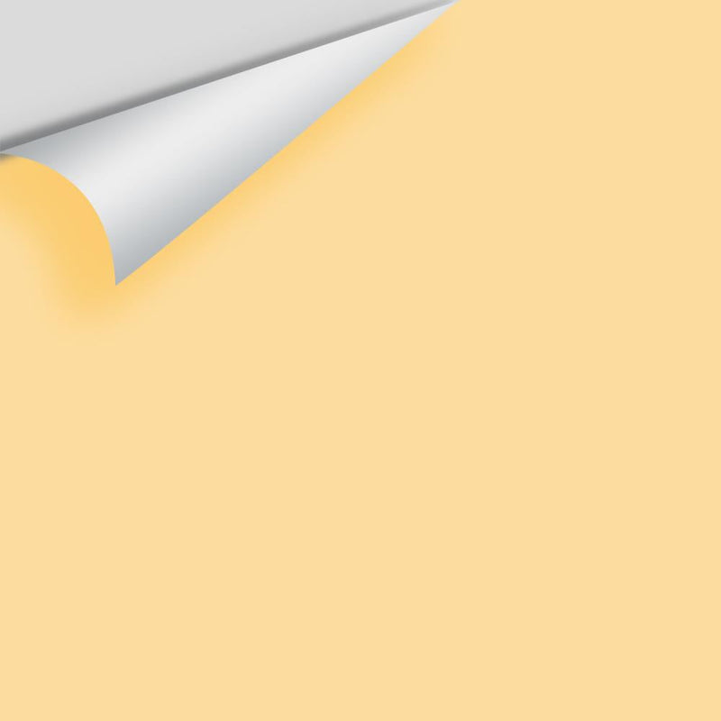 Benjamin Moore - Suntan Yellow 2155-50 Peel & Stick Color Sample
