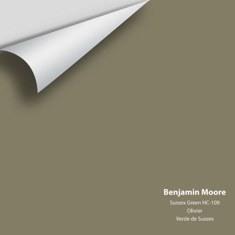 Benjamin Moore - Sussex Green HC-109 Peel & Stick Color Sample