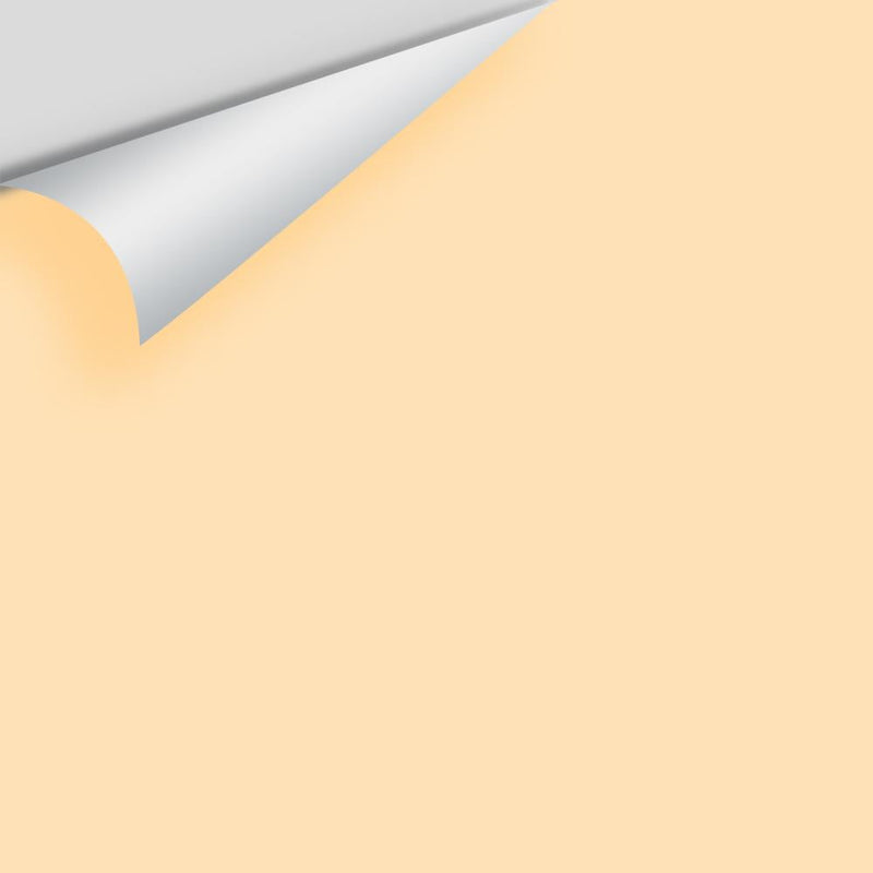 Benjamin Moore - Sweet Nectar 156 Peel & Stick Color Sample
