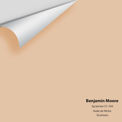 Benjamin Moore - Sycamore 1137/CC-350 Peel & Stick Color Sample