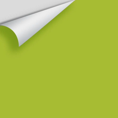 Benjamin Moore - Tequila Lime 2028-30 Peel & Stick Color Sample