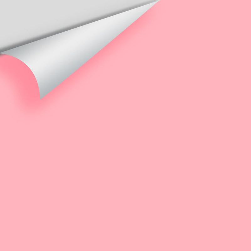 Benjamin Moore - Tickled Pink 2002-50 Peel & Stick Color Sample