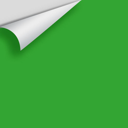 Benjamin Moore - Traffic Light Green 2032-20 Peel & Stick Color Sample