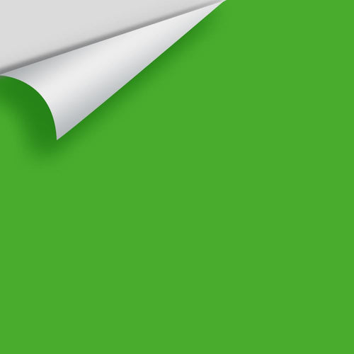 Benjamin Moore - Tropical Seaweed Green 2030-20 Peel & Stick Color Sample
