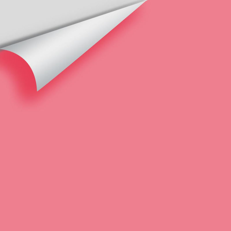 Benjamin Moore - True Pink 2003-40 Peel & Stick Color Sample