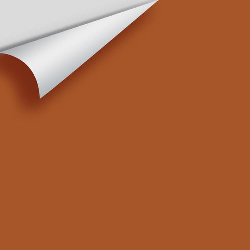Benjamin Moore - Tandoori CSP-1105 Peel & Stick Color Sample