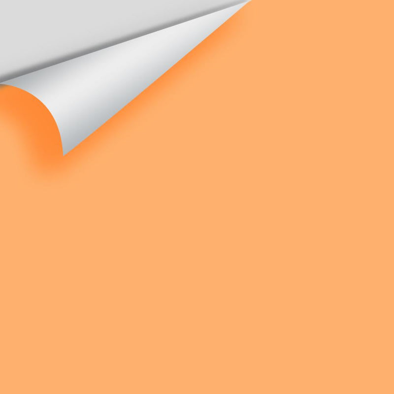 Benjamin Moore - Tangerine Zing 132 Peel & Stick Color Sample