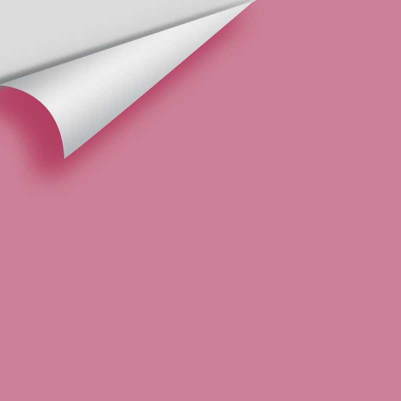 Benjamin Moore - Taste Of Berry 2085-40 Peel & Stick Color Sample
