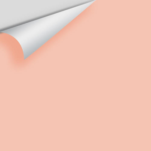 Benjamin Moore - Teacup Rose 2170-50 Peel & Stick Color Sample