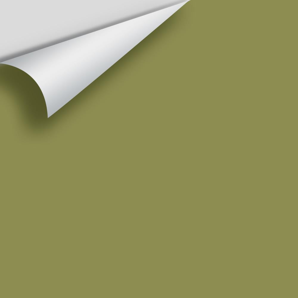The Color House Benjamin Moore Peel & Stick Paint Samples