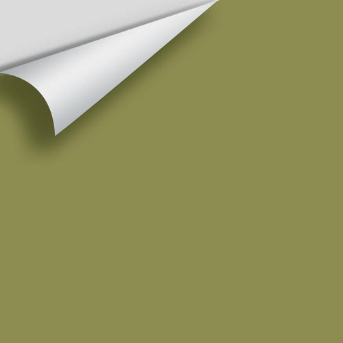 Benjamin Moore - Terrapin Green 2145-20 Peel & Stick Color Sample