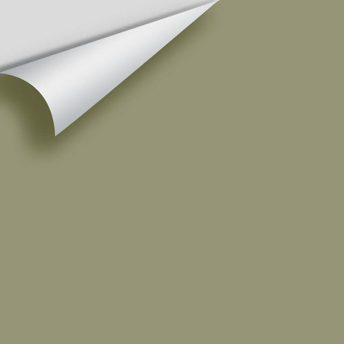 Benjamin Moore - Thayer Green CSP-825 Peel & Stick Color Sample