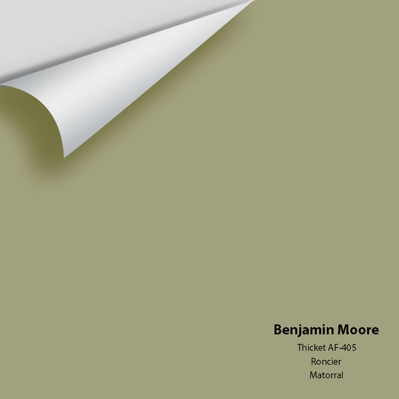 Benjamin Moore - Thicket AF-405 Peel & Stick Color Sample