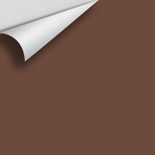 Benjamin Moore - Toasted Brown 2097-10 Peel & Stick Color Sample