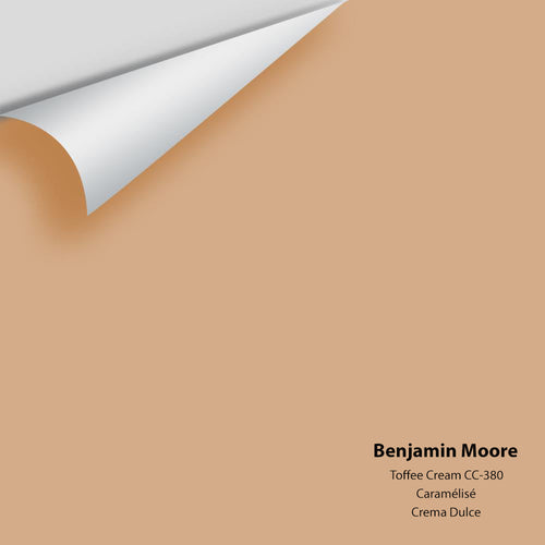 Benjamin Moore - Toffee Cream 1138/CC-380 Peel & Stick Color Sample