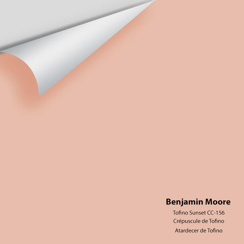 Benjamin Moore - Tofino Sunset CC-156 Peel & Stick Color Sample