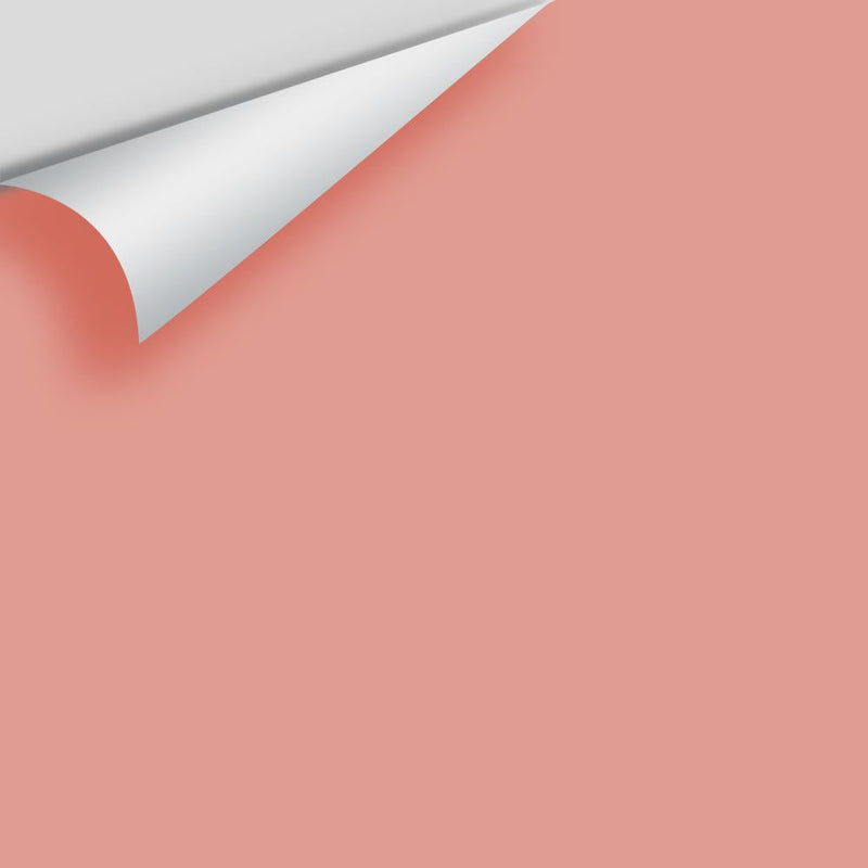 Benjamin Moore - Tomato Cream Sauce 2089-40 Peel & Stick Color Sample