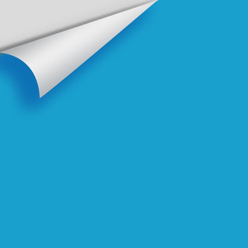 Benjamin Moore - Toronto Blue 2060-40 Peel & Stick Color Sample