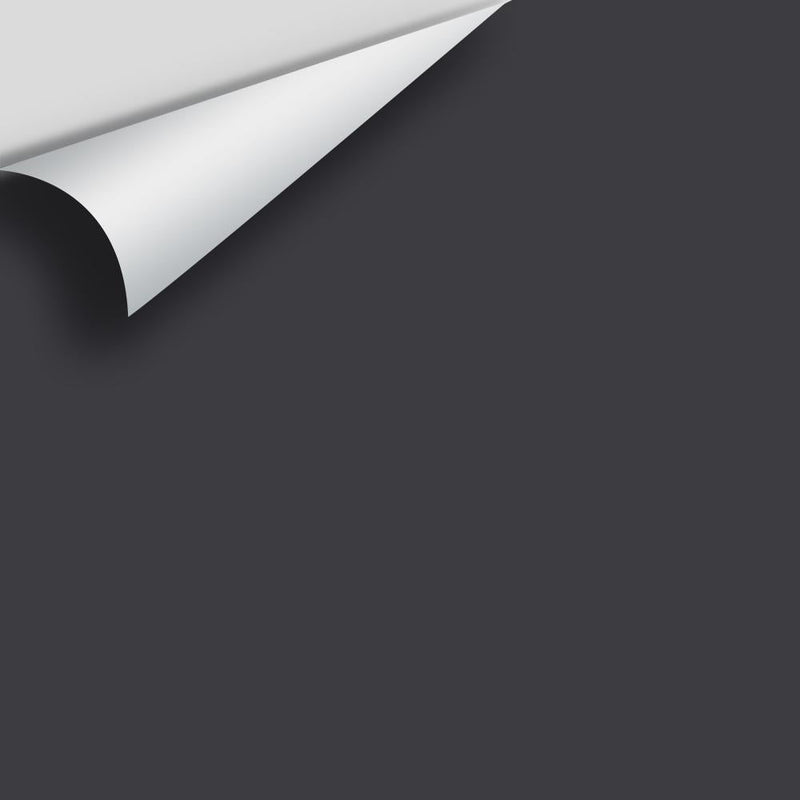 Benjamin Moore - Toucan Black 2118-20 Peel & Stick Color Sample