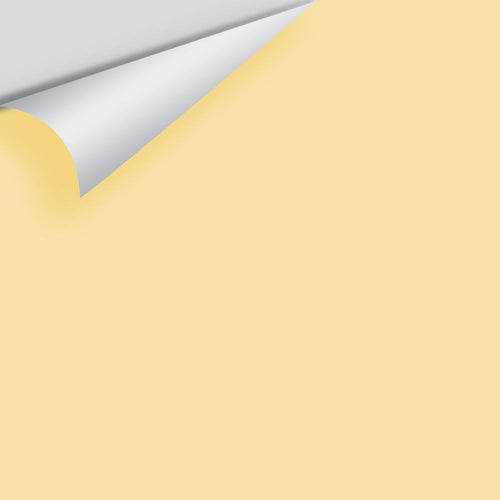 Benjamin Moore - Traditional Yellow 170 Peel & Stick Color Sample