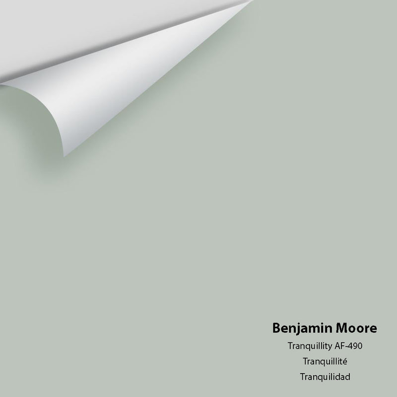 Benjamin Moore - Tranquillity AF-490 Peel & Stick Color Sample