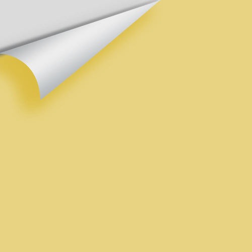 Benjamin Moore - Treasure Trove 285 Peel & Stick Color Sample