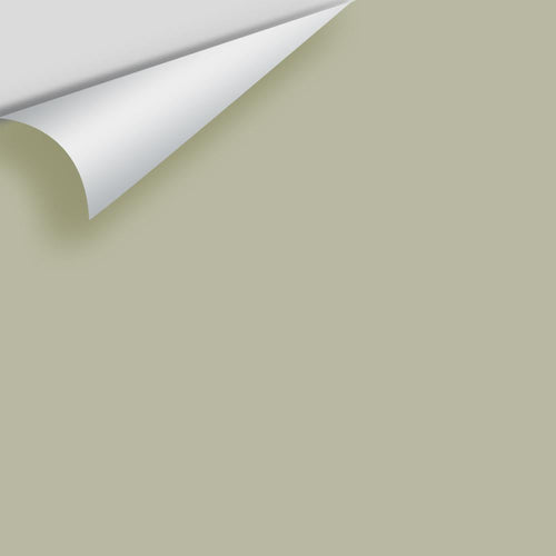 Benjamin Moore - Tree Moss 508 Peel & Stick Color Sample