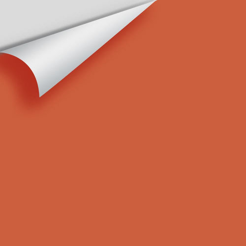 Benjamin Moore - Tropical Orange 2170-20 Peel & Stick Color Sample