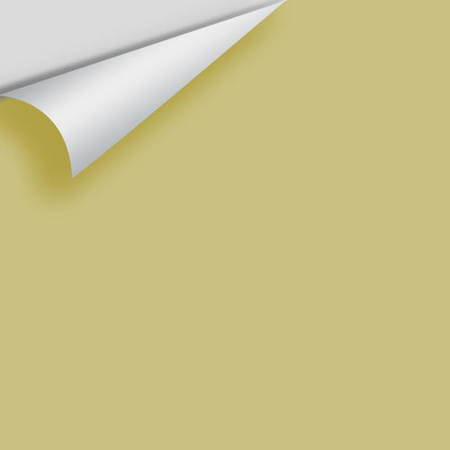 Benjamin Moore - Turkish Bay Leaf CSP-885 Peel & Stick Color Sample
