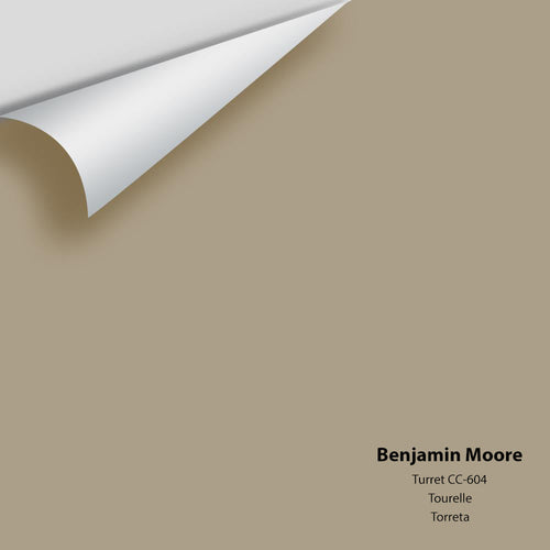 Benjamin Moore - Turret CC-604 Peel & Stick Color Sample