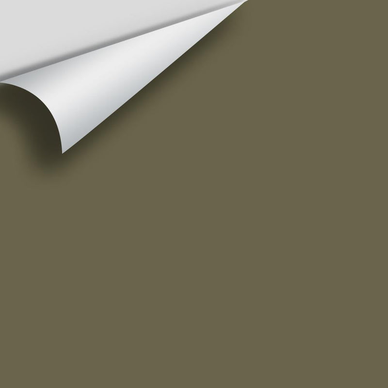 Benjamin Moore - Turtle Green 2142-20 Peel & Stick Color Sample