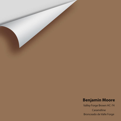 Benjamin Moore - Valley Forge Brown HC-74 Peel & Stick Color Sample