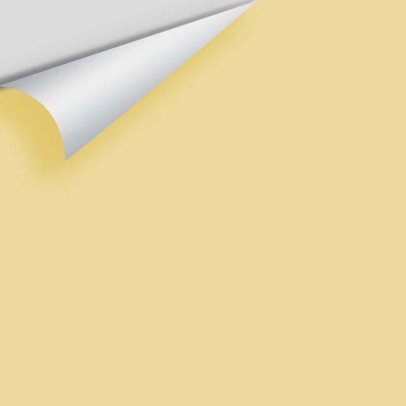 Benjamin Moore - Valley View 214 Peel & Stick Color Sample