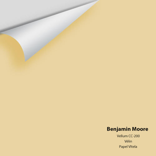 Benjamin Moore - Vellum 207/CC-200 Peel & Stick Color Sample