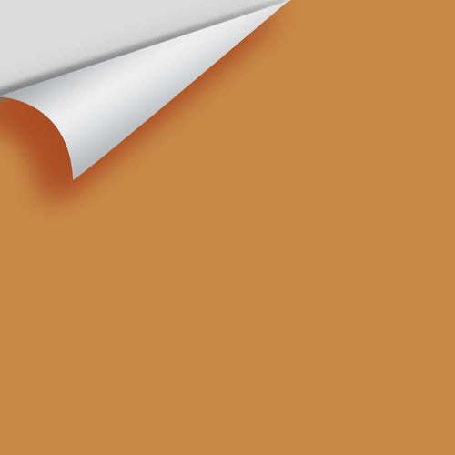 Benjamin Moore - Venetian Gold 2158-20 Peel & Stick Color Sample