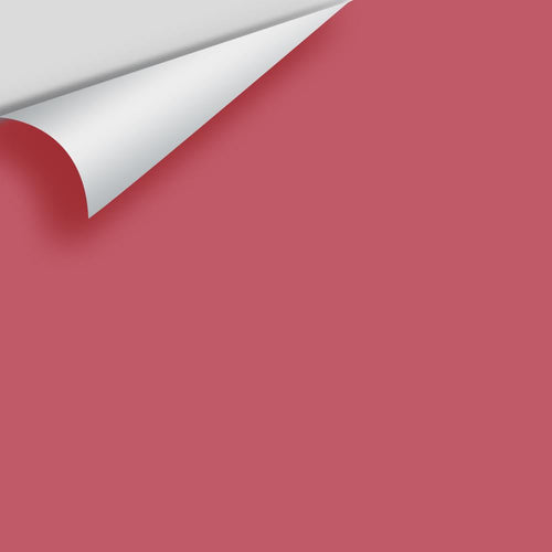 Benjamin Moore - Vibrant Blush 2081-30 Peel & Stick Color Sample