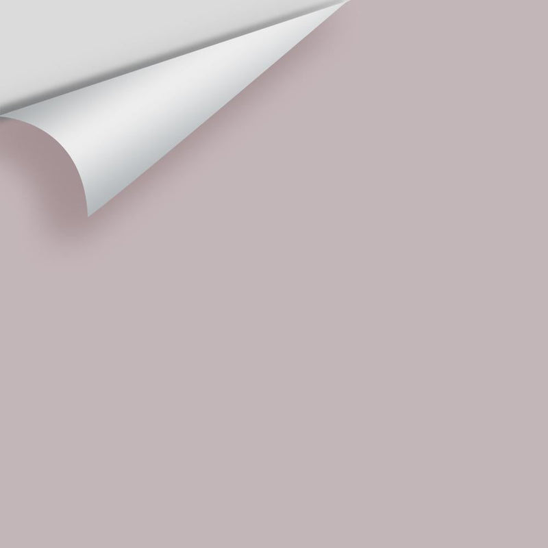 Benjamin Moore - Victorian Mauve 2114-50 Peel & Stick Color Sample